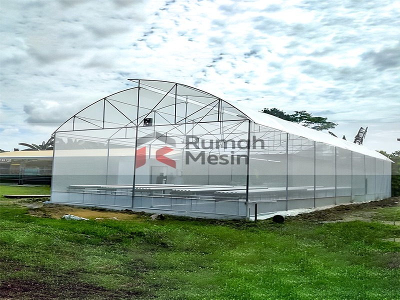 Jasa Pembuatan Greenhouse Murah untuk Pertanian Modern