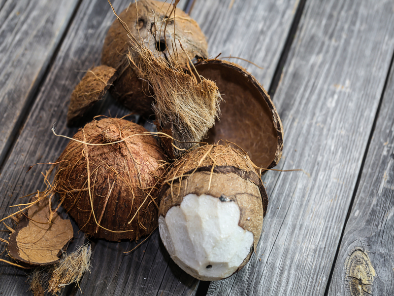 Mesin Parut Kelapa Jumbo untuk Kebutuhan Produksi Lebih Cepat