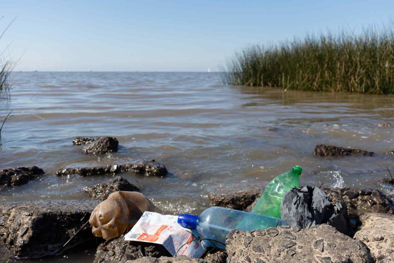 Informasi Kerusakan Lingkungan Akibat Plastik