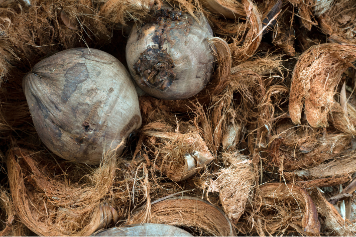 Mesin Pengolah Sabut Kelapa Hemat Energi