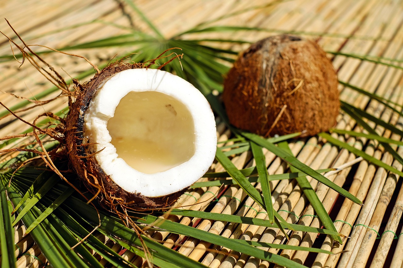 solusi pemarutan kelapa praktis