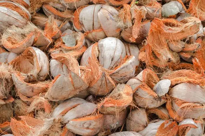 Cara Mengurai Sabut Kelapa Jadi Serat yang Efisien dan Berkualitas