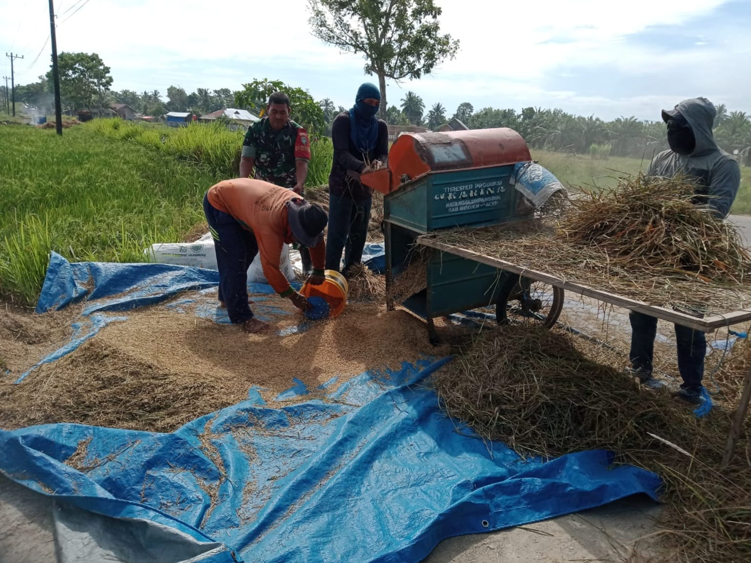 Membangun Bisnis Jasa Pascapanen dari Kebutuhan Petani