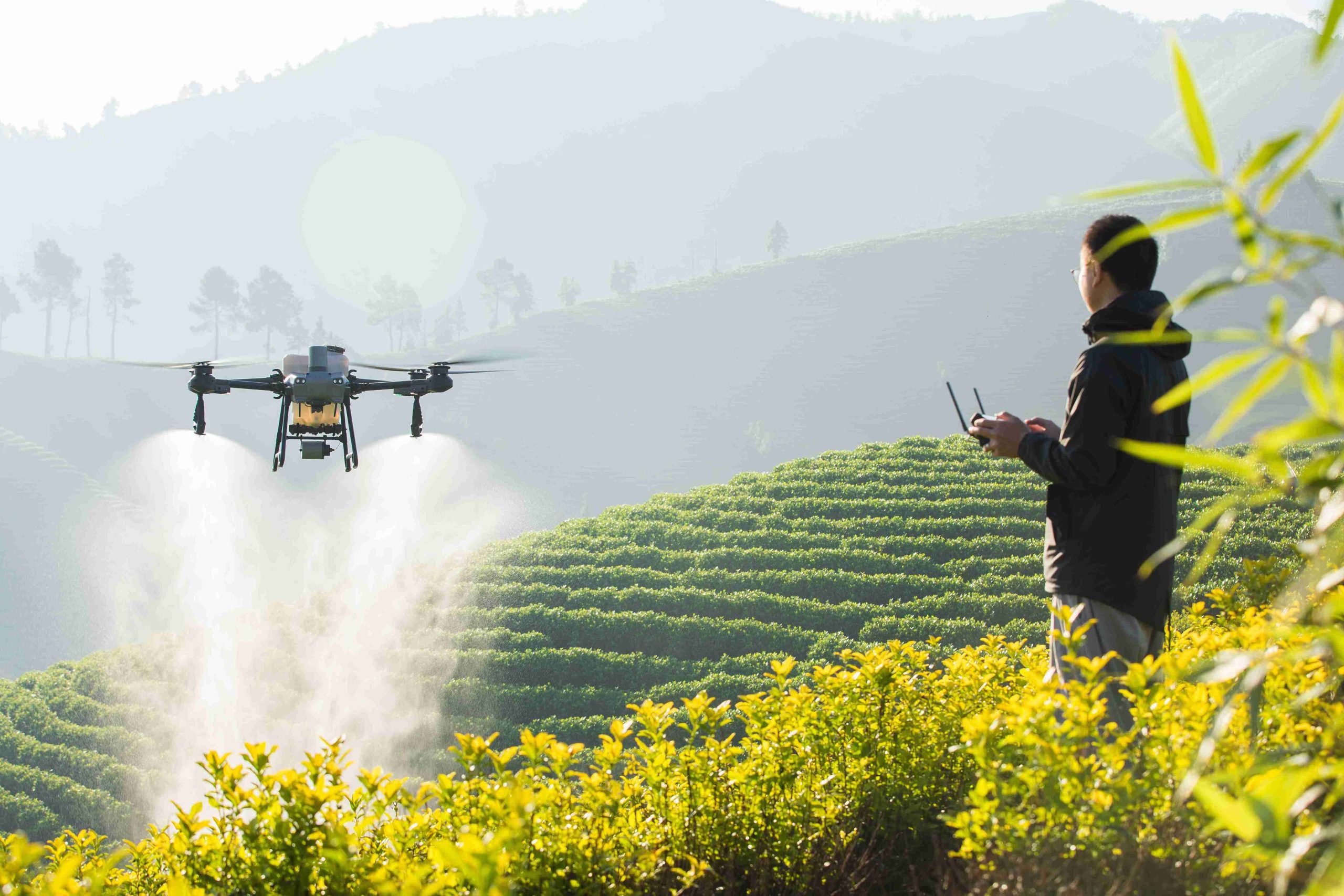 Manfaat Drone untuk Penyemprotan Tanaman di Pertanian Modern