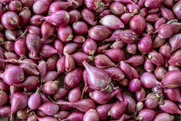 Bawang untuk Usaha Kuliner yang Berkualitas dan Mudah Diolah