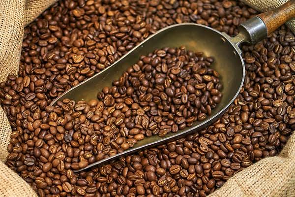 penyebab biji kopi gosong saat proses roasting