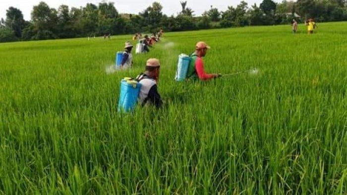 penyebab semprotan hand sprayer tidak merata