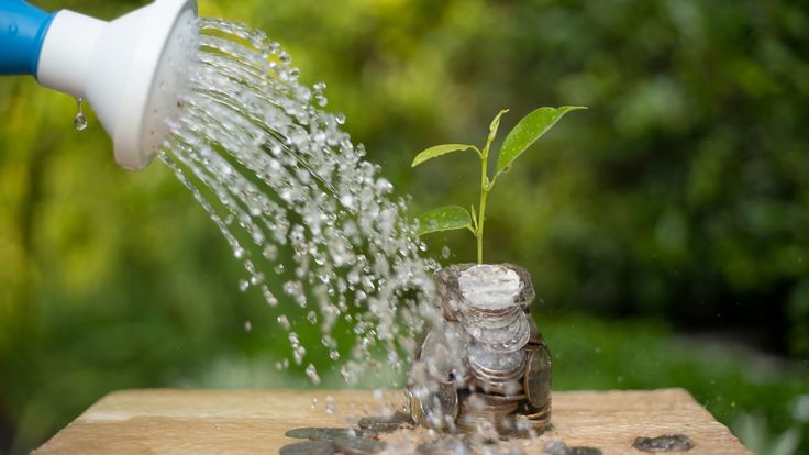 Peluang Usaha Setelah Pensiun yang Bisa Dicoba