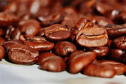 Tahapan Penggunaan Mesin Pemecah Kopi yang Tepat
