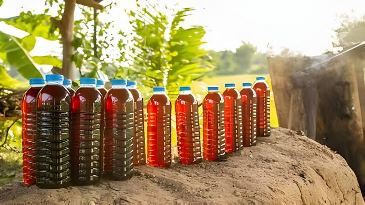 usaha produksi asap cair