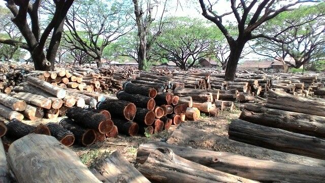 cara memanfaatkan serpihan kayu hasil penghancuran