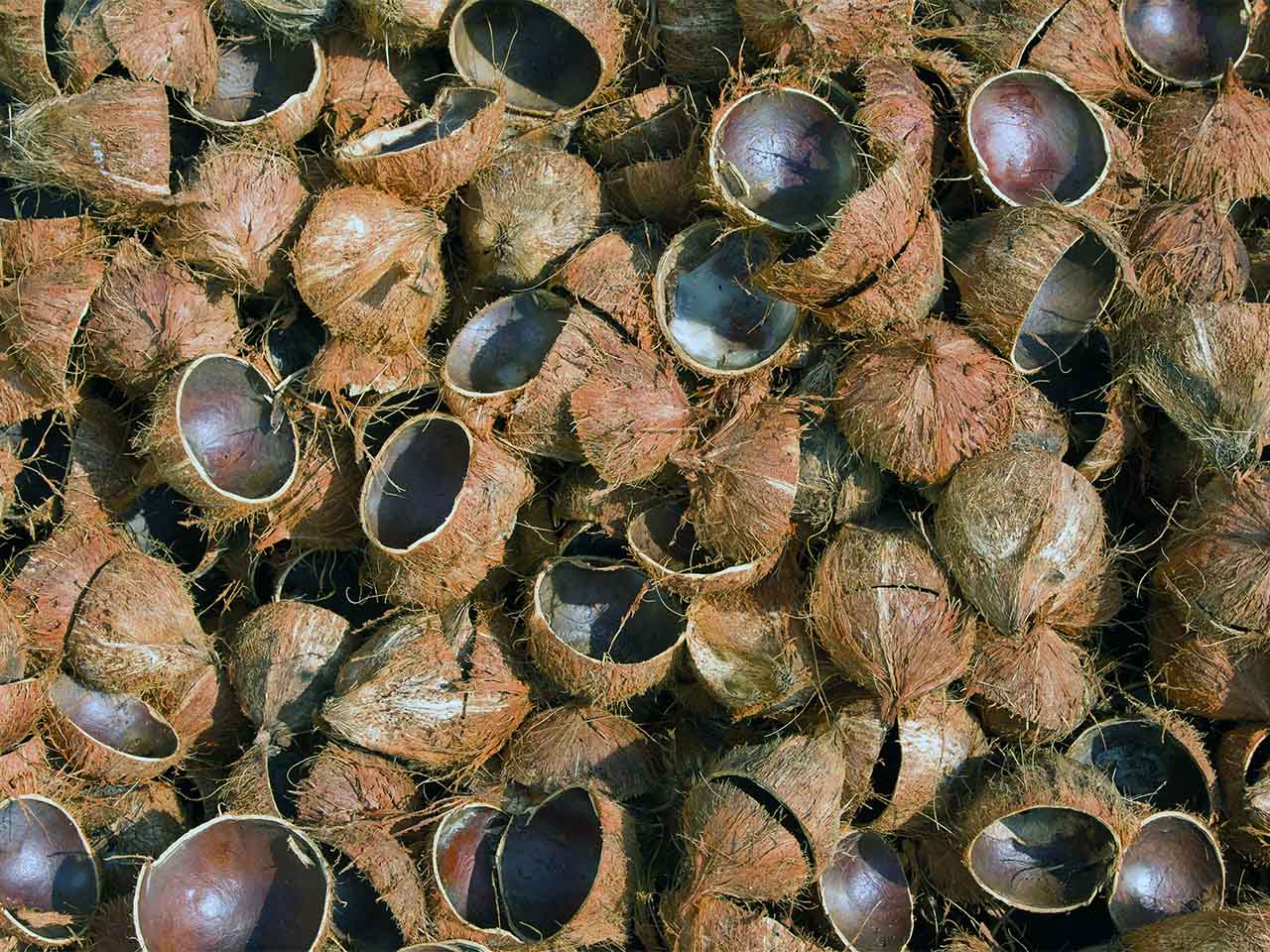 cara kerja pirolisis tempurung kelapa