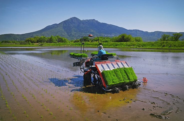 kondisi lahan yang sesuai untuk pengoperasian alat tanam padi